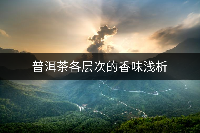 普洱茶各層次的香味淺析 普洱茶各層次的香味淺析