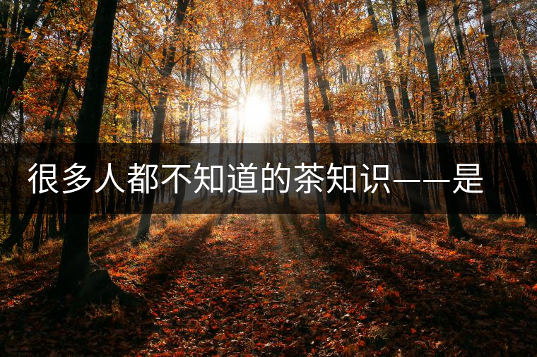 很多人都不知道的茶知識(shí)——是什么造就了普洱茶的一山一味？