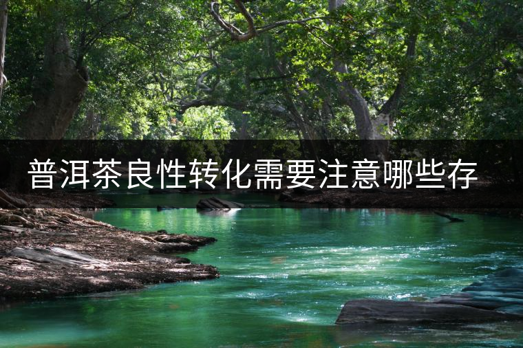 普洱茶良性轉(zhuǎn)化需要注意哪些存放問題？