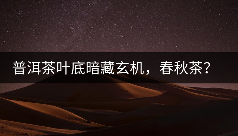 普洱茶葉底暗藏玄機，春秋茶？大樹茶？野生茶？班章料？你讀懂了嗎？