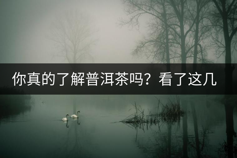 你真的了解普洱茶嗎？看了這幾個(gè)問題……