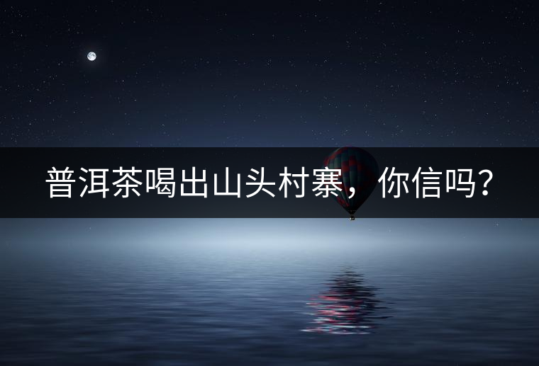 普洱茶喝出山頭村寨，你信嗎？