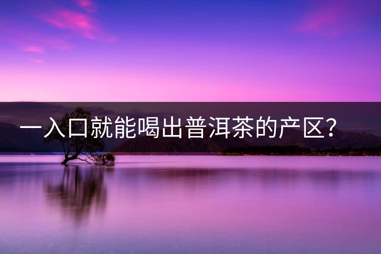 一入口就能喝出普洱茶的產(chǎn)區(qū)？怎么能不讀這篇文章呢？