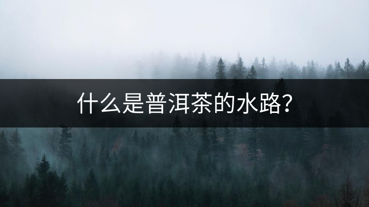 什么是普洱茶的水路？