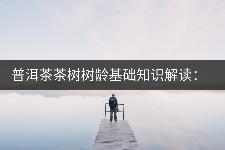 普洱茶茶樹樹齡基礎(chǔ)知識解讀：多大樹齡的茶才算古樹茶？