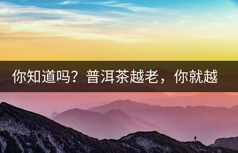 你知道嗎？普洱茶越老，你就越年輕