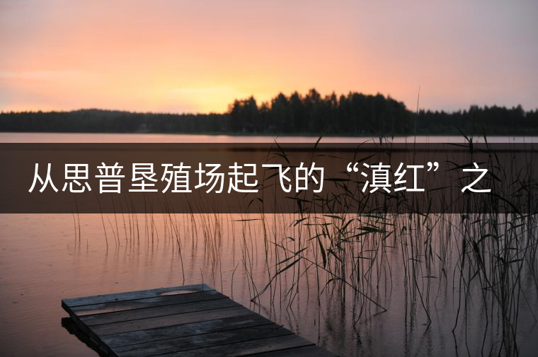 從思普墾殖場起飛的“滇紅”之路 從思普墾殖場起飛的“滇紅”之路