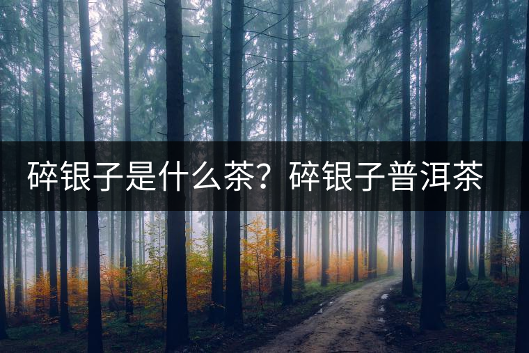 碎銀子是什么茶?碎銀子普洱茶詳解 碎銀子是什么茶?碎銀子普洱茶詳解