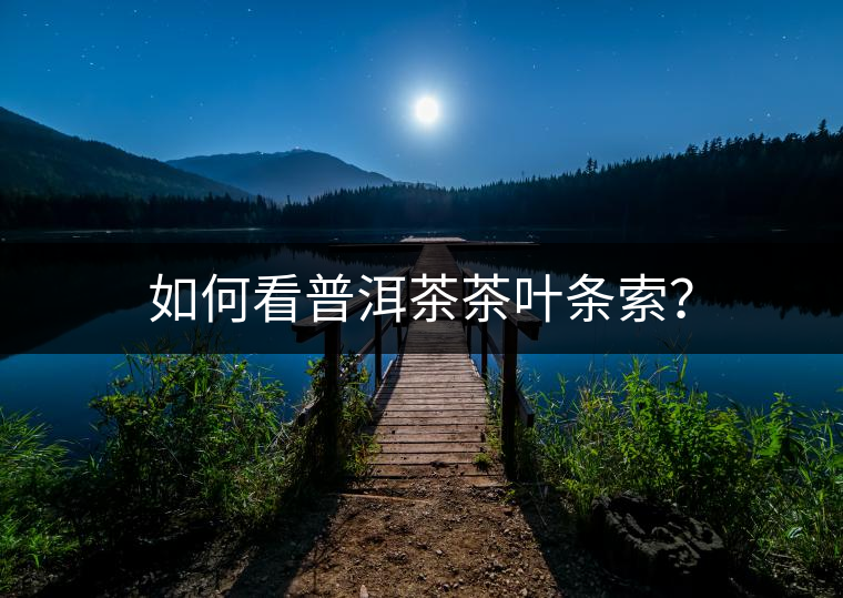 如何看普洱茶茶葉條索？