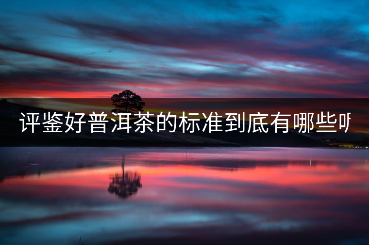 評鑒好普洱茶的標準到底有哪些呢? 評鑒好普洱茶的標準到底有哪些呢?