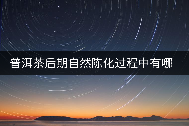 普洱茶后期自然陳化過程中有哪些變化？