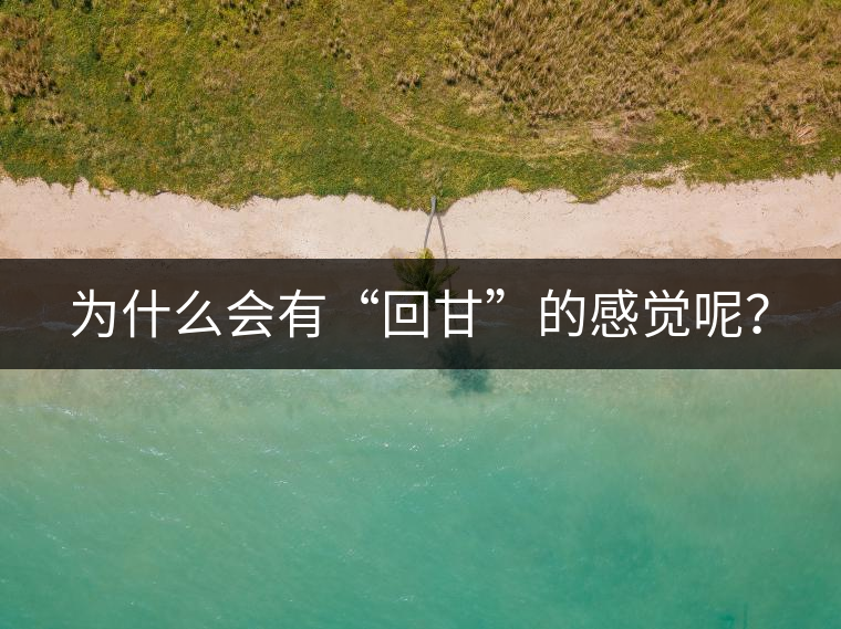 為什么會有“回甘”的感覺呢？