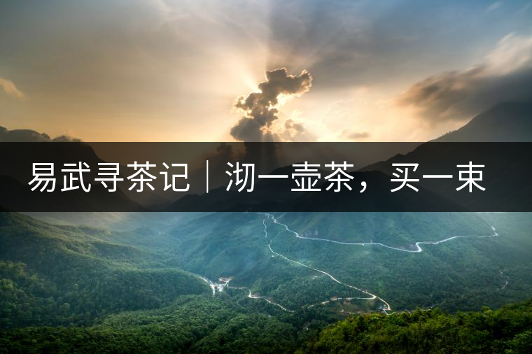 易武尋茶記｜沏一壺茶，買一束花，享半日余暇