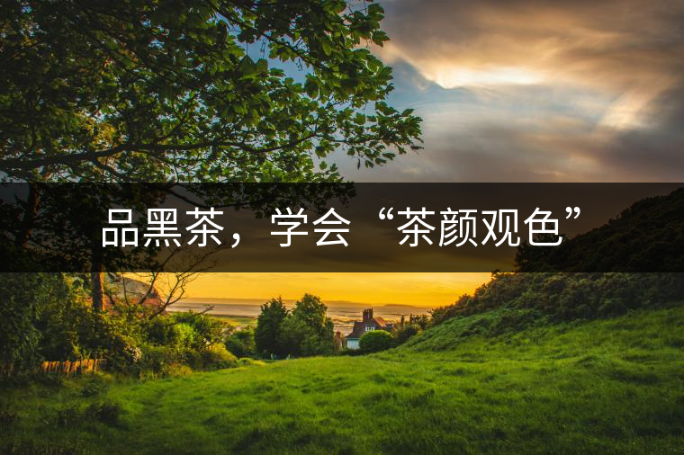 品黑茶，學(xué)會(huì)“茶顏觀色”