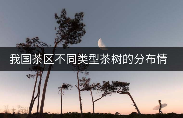 我國茶區(qū)不同類型茶樹的分布情況 我國茶區(qū)不同類型茶樹的分布情況