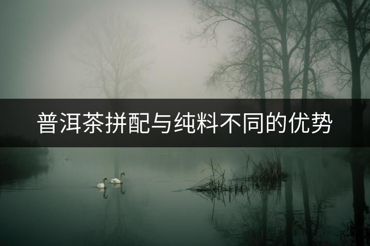 普洱茶拼配與純料不同的優(yōu)勢 普洱茶拼配與純料不同的優(yōu)勢