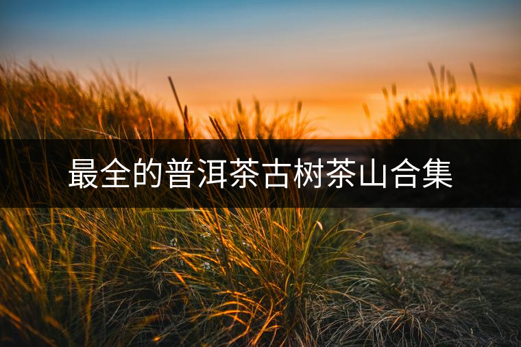 最全的普洱茶古樹茶山合集 最全的普洱茶古樹茶山合集