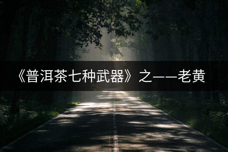 《普洱茶七種武器》之——老黃片 《普洱茶七種武器》之——老黃片