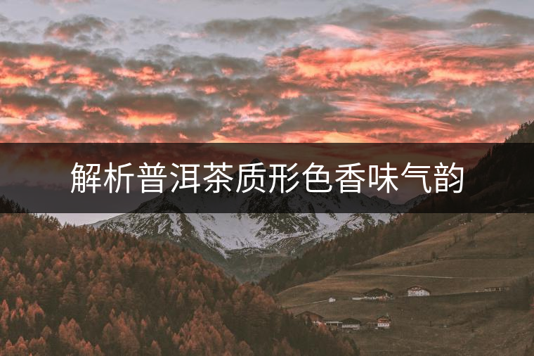 解析普洱茶質(zhì)形色香味氣韻 解析普洱茶質(zhì)形色香味氣韻