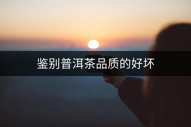 鑒別普洱茶品質(zhì)的好壞 鑒別普洱茶品質(zhì)的好壞