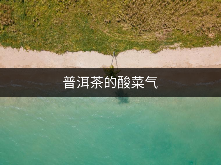 普洱茶的酸菜氣 普洱茶的酸菜氣