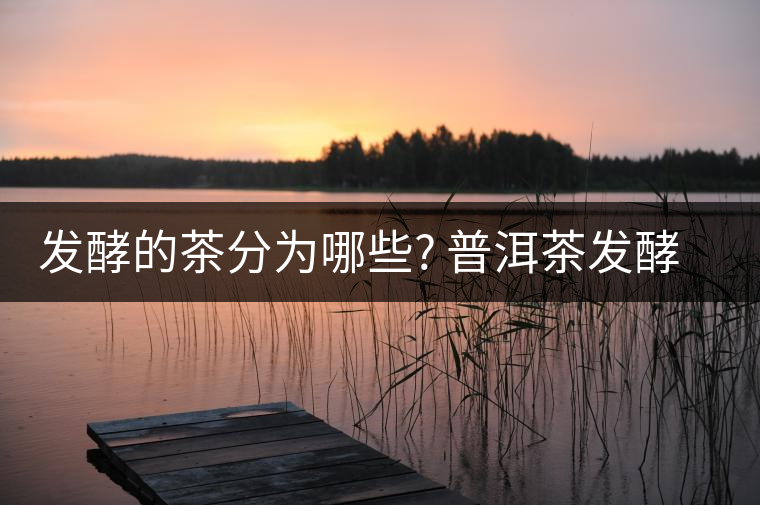 發(fā)酵的茶分為哪些? 普洱茶發(fā)酵后與發(fā)酵前有什么不同? 發(fā)酵的茶分為哪些? 普洱茶發(fā)酵后與發(fā)酵前有什么不同?