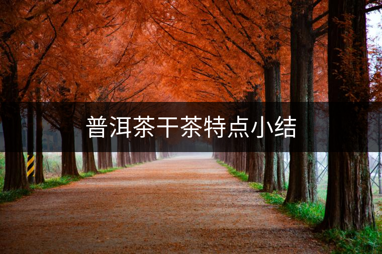 普洱茶干茶特點(diǎn)小結(jié) 普洱茶干茶特點(diǎn)小結(jié)