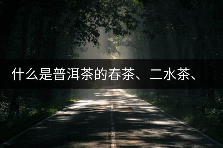 什么是普洱茶的春茶、二水茶、三水茶、四水茶