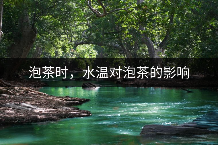 泡茶時，水溫對泡茶的影響