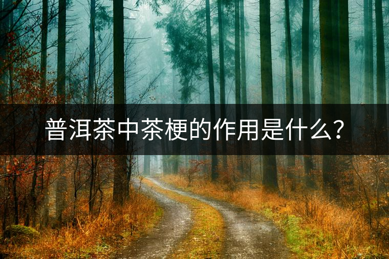 普洱茶中茶梗的作用是什么？