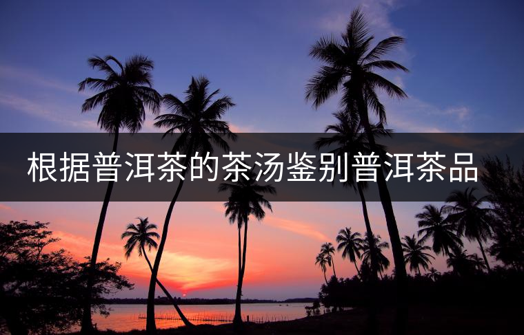 根據(jù)普洱茶的茶湯鑒別普洱茶品質(zhì) 根據(jù)普洱茶的茶湯鑒別普洱茶品質(zhì)