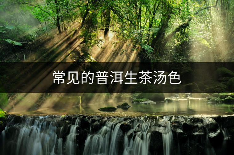 常見的普洱生茶湯色 常見的普洱生茶湯色