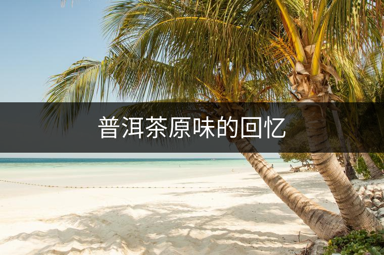 普洱茶原味的回憶 普洱茶原味的回憶