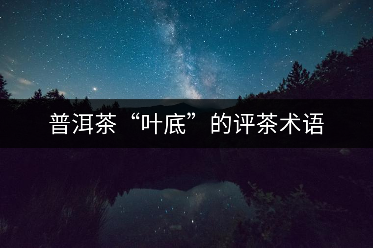 普洱茶“葉底”的評茶術(shù)語 普洱茶“葉底”的評茶術(shù)語