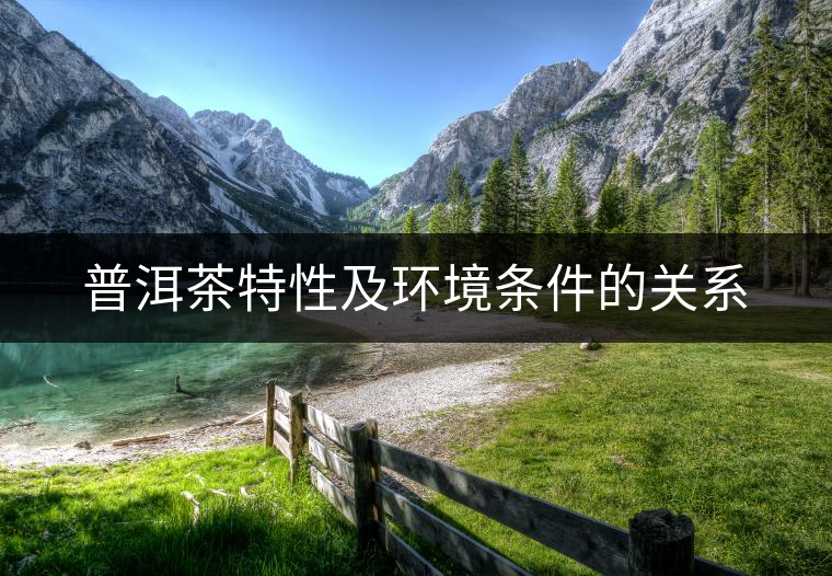 普洱茶特性及環(huán)境條件的關系 普洱茶特性及環(huán)境條件的關系