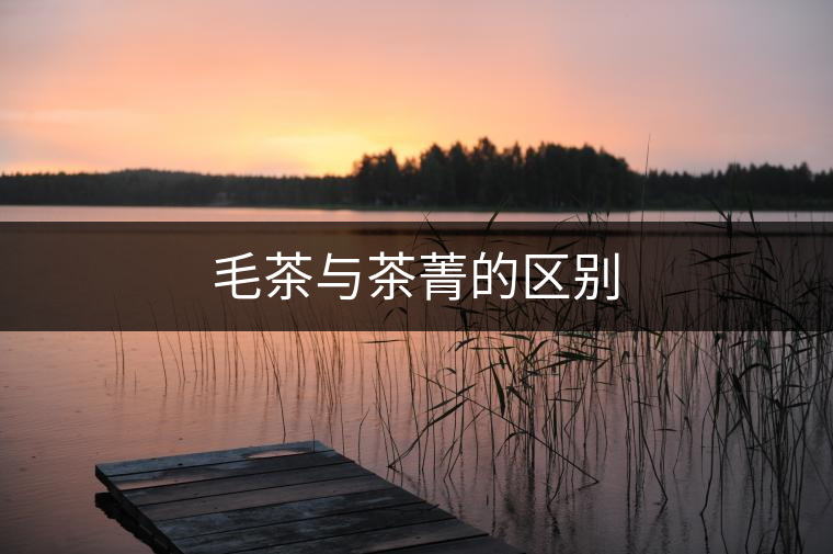 毛茶與茶菁的區(qū)別 毛茶與茶菁的區(qū)別