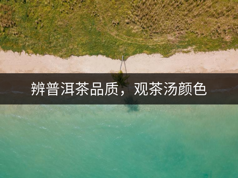 辨普洱茶品質(zhì)，觀茶湯顏色
