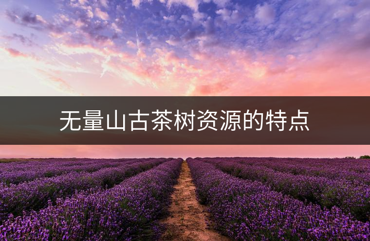 無量山古茶樹資源的特點(diǎn) 無量山古茶樹資源的特點(diǎn)