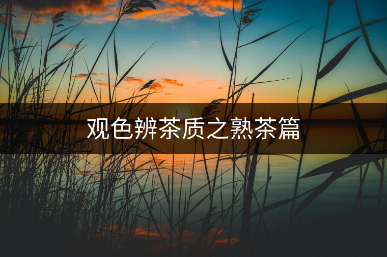 觀(guān)色辨茶質(zhì)之熟茶篇