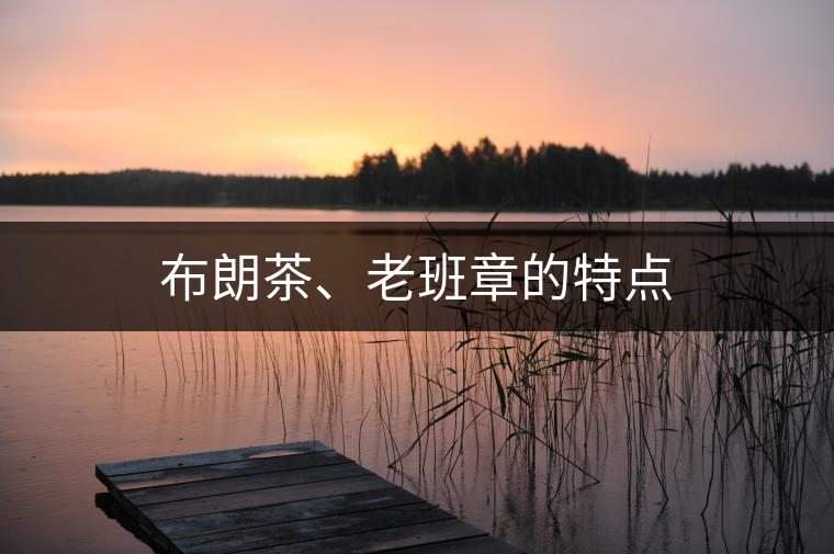 布朗茶、老班章的特點(diǎn)