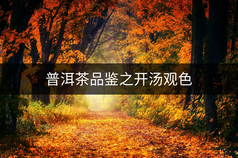 普洱茶品鑒之開湯觀色