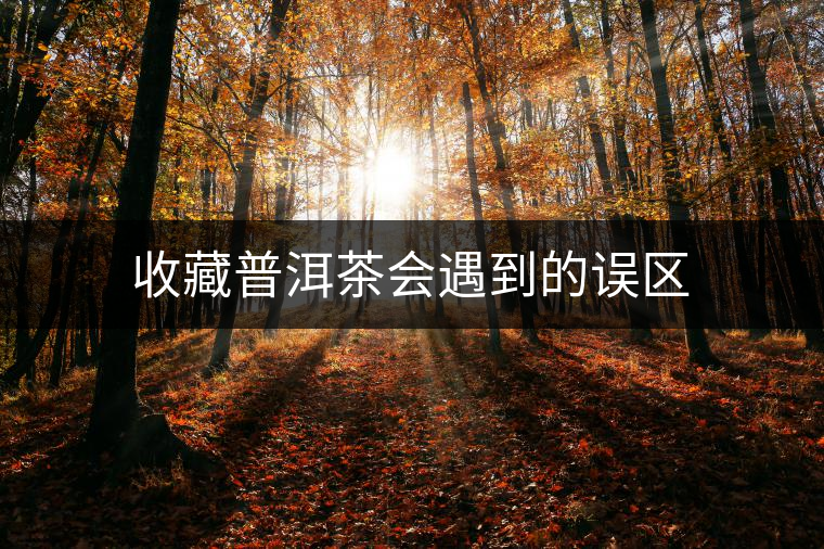 收藏普洱茶會(huì)遇到的誤區(qū)