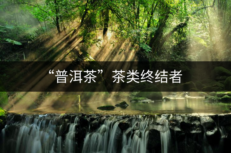 “普洱茶”茶類終結(jié)者