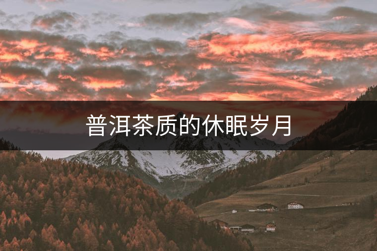 普洱茶質(zhì)的休眠歲月 普洱茶質(zhì)的休眠歲月