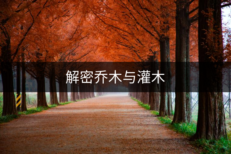 解密喬木與灌木 解密喬木與灌木