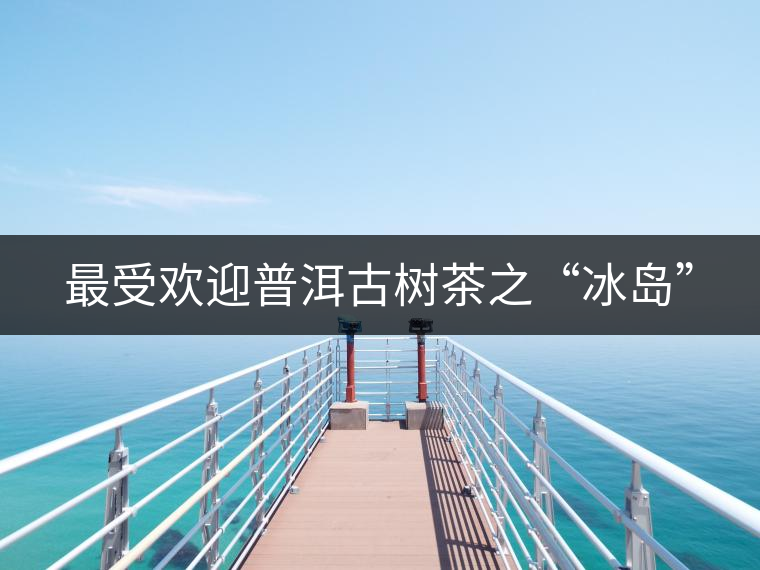 最受歡迎普洱古樹茶之“冰島” 最受歡迎普洱古樹茶之“冰島”