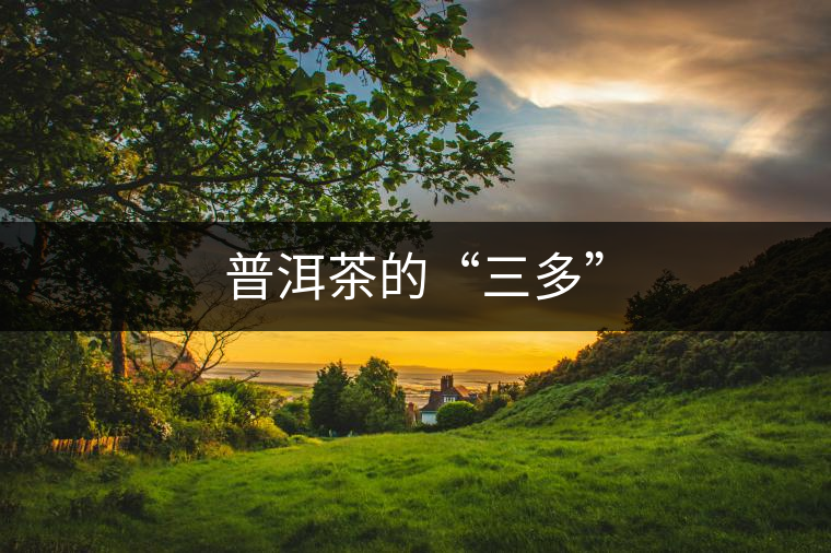 普洱茶的“三多” 普洱茶的“三多”