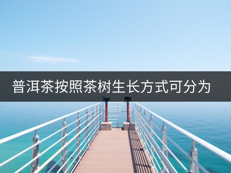 普洱茶按照茶樹(shù)生長(zhǎng)方式可分為2種 普洱茶按照茶樹(shù)生長(zhǎng)方式可分為2種