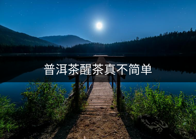 普洱茶醒茶真不簡單 普洱茶醒茶真不簡單