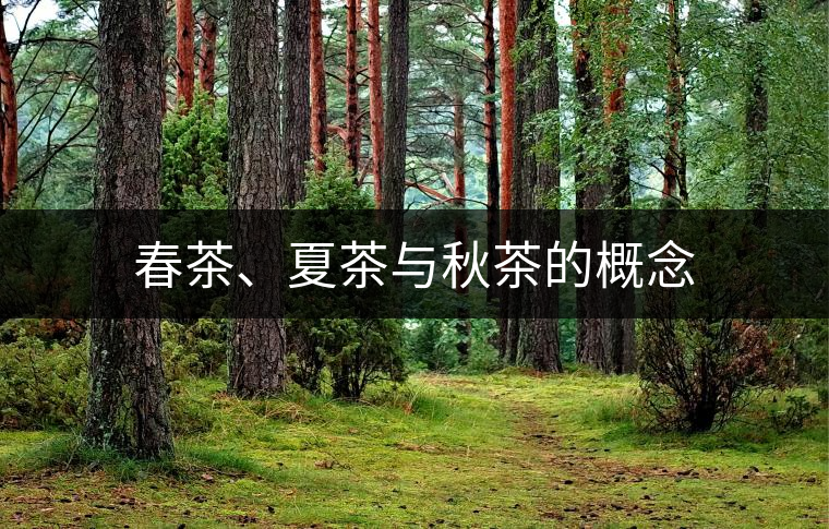 春茶、夏茶與秋茶的概念